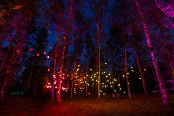 Blockheide Leuchtet 2026 (Naturpark Blockheide - Gmünd/Waldviertel, 27.8. - 30.8.2026) Foto: Joanna Pianka