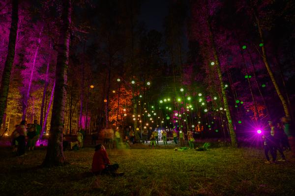 Blockheide Leuchtet 2026 (Naturpark Blockheide - Gmünd/Waldviertel, 27.8. - 30.8.2026) Foto: Joanna Pianka