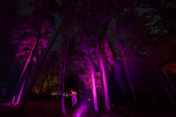 Blockheide Leuchtet 2026 (Naturpark Blockheide - Gmünd/Waldviertel, 27.8. - 30.8.2026) Foto: Joanna Pianka