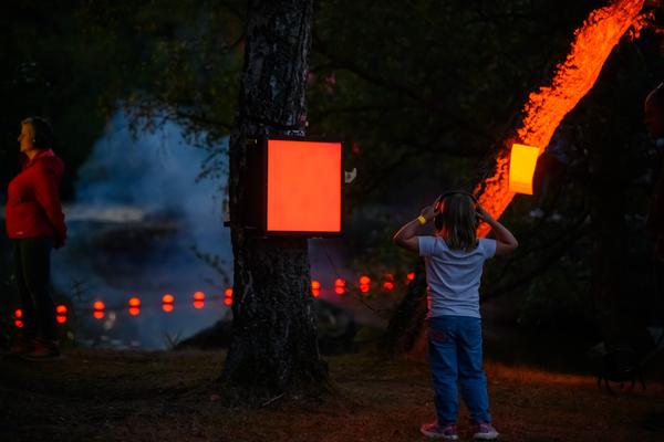 Blockheide Leuchtet 2026 (Naturpark Blockheide - Gmünd/Waldviertel, 27.8. - 30.8.2026) Foto: Joanna Pianka