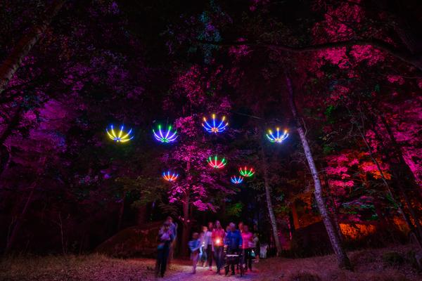 Blockheide Leuchtet 2026 (Naturpark Blockheide - Gmünd/Waldviertel, 27.8. - 30.8.2026) Foto: Joanna Pianka