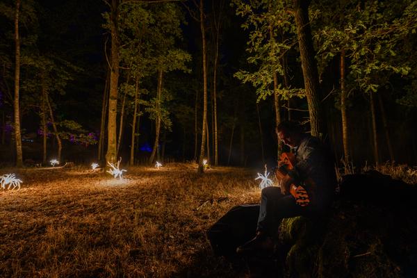 Blockheide Leuchtet 2026 (Naturpark Blockheide - Gmünd/Waldviertel, 27.8. - 30.8.2026) Foto: Joanna Pianka