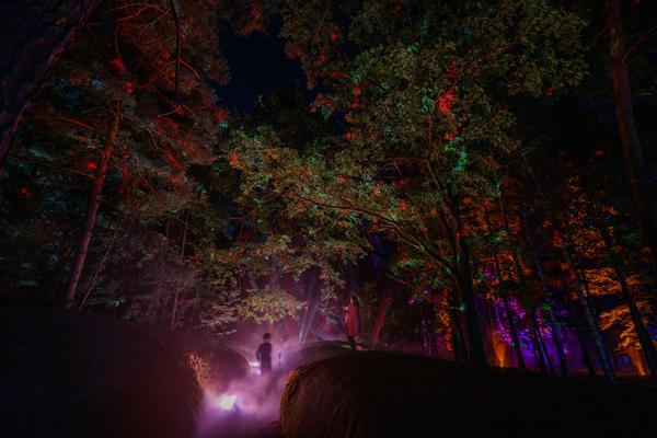 Blockheide Leuchtet 2026 (Naturpark Blockheide - Gmünd/Waldviertel, 27.8. - 30.8.2026) Foto: Joanna Pianka