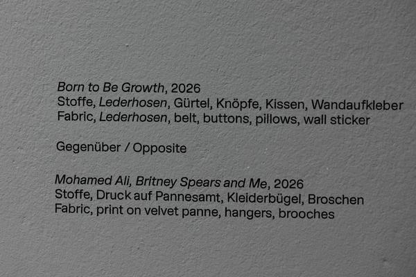 Chalisée Naamani: Octogone (Kunsthalle Wien, 29.1. - 6.4.2026) Foto: eSeL.at - Lorenz Seidler