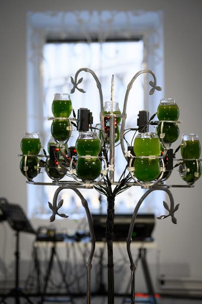 Choir of Kin – Photosynthesizer: Live Activation I (das weisse haus, 16.04.2026) Foto: eSeL.at - Joanna Pianka