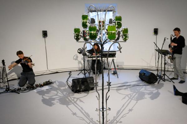 Choir of Kin – Photosynthesizer: Live Activation I (das weisse haus, 16.04.2026) Foto: eSeL.at - Joanna Pianka