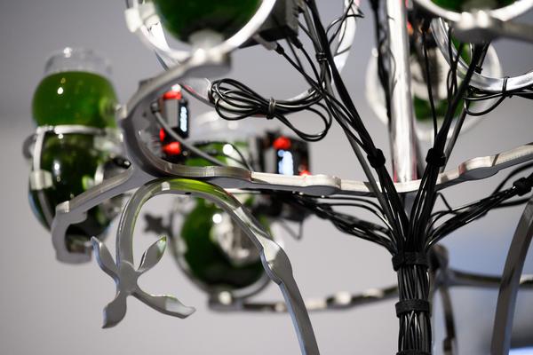 Choir of Kin – Photosynthesizer: Live Activation I (das weisse haus, 16.04.2026) Foto: eSeL.at - Joanna Pianka