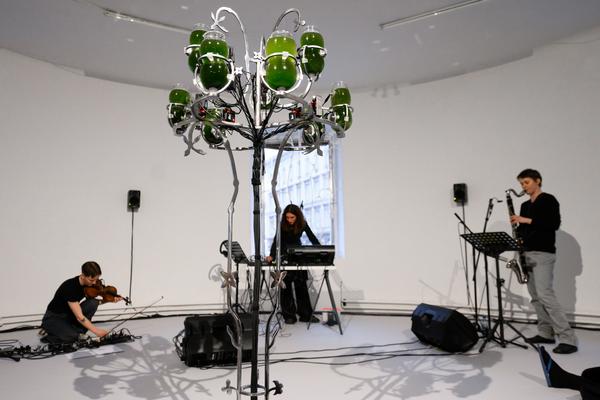 Choir of Kin – Photosynthesizer: Live Activation I (das weisse haus, 16.04.2026) Foto: eSeL.at - Joanna Pianka