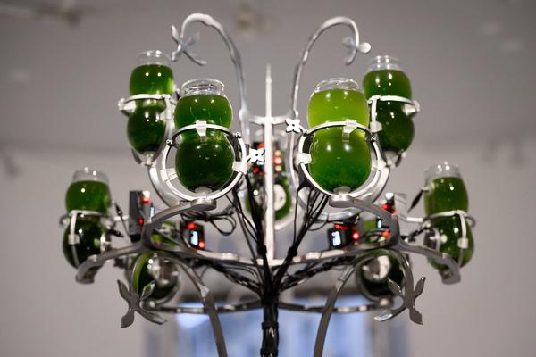 Choir of Kin – Photosynthesizer: Live Activation I (das weisse haus, 16.04.2026) Foto: eSeL.at - Joanna Pianka