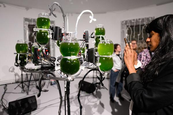 Choir of Kin – Photosynthesizer: Live Activation I (das weisse haus, 16.04.2026) Foto: eSeL.at - Joanna Pianka