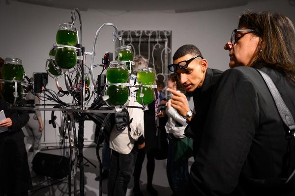 Choir of Kin – Photosynthesizer: Live Activation I (das weisse haus, 16.04.2026) Foto: eSeL.at - Joanna Pianka