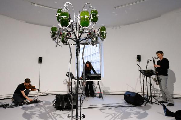 Choir of Kin – Photosynthesizer: Live Activation I (das weisse haus, 16.04.2026) Foto: eSeL.at - Joanna Pianka