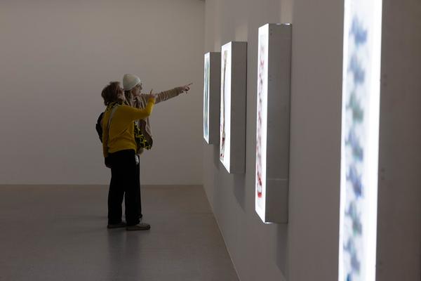 Claudia Pagès Rabal &quot;Feudal Holes&quot; (mumok, 4.12.2025 - 31.5.2026) Foto: eSeL.at - Lorenz Seidler