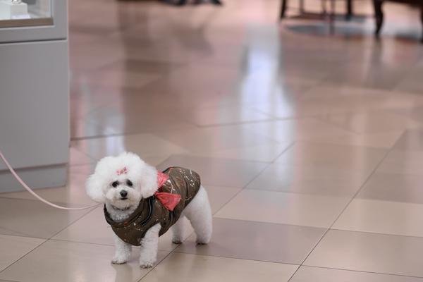 Costume Jewelry - Buchpräsentation Taschen Verlag (Dorotheum, 03.12.2025) Foto: eSeL.at - Joanna Pianka