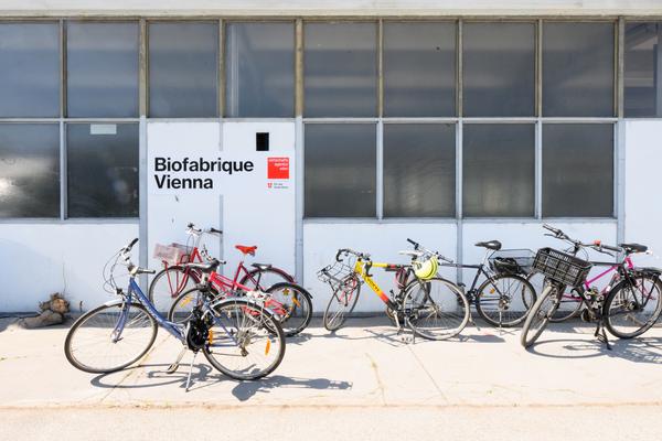 Tour 1: Creatives for Vienna – Making Spaces X Klima Biennale Wien (Nordwestbahnhof, 18.04.2026) Foto: Wirtschaftsagentur Wien / eSeL.at - Joanna Pianka