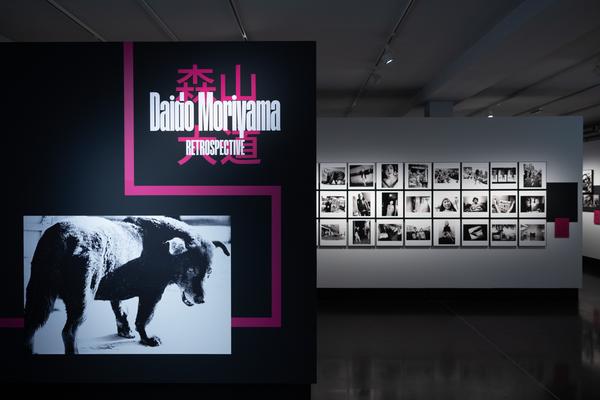 Daido Moriyama. Retrospektive (Foto Arsenal Wien, 31.1. - 10.5.2026) Foto: eSeL.at - Lorenz Seidler