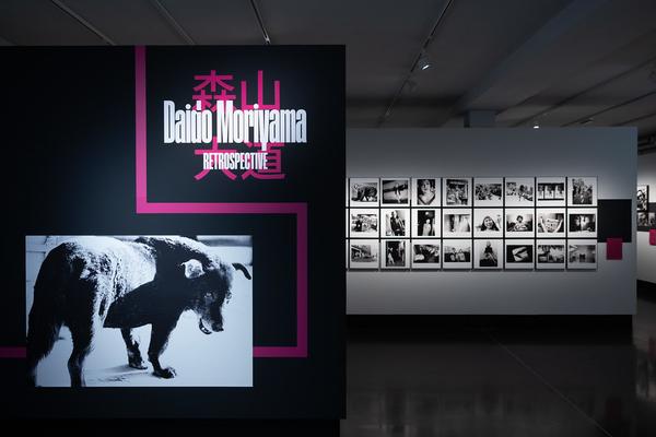 Daido Moriyama. Retrospektive (Foto Arsenal Wien, 31.1. - 10.5.2026) Foto: eSeL.at - Lorenz Seidler