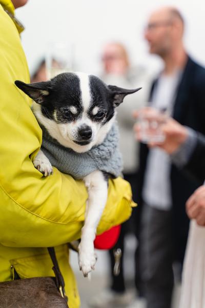 Eröffnung Daniel Domig | Plus: Sofia Goscinski (Galerie3 Wien, 12.02.2026) Foto: eSeL.at - Robert Puteanu