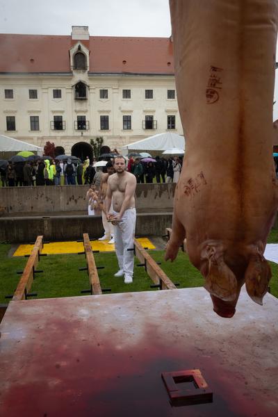 Hermann Nitsch 6 Tages Spiel (Tag 5, 8.6.2025) Foto: (c) Hermann Nitsch GmbH (Foto: eSeL)