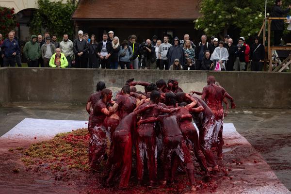 Hermann Nitsch 6 Tages Spiel (Tag 5, 8.6.2025) Foto: (c) Hermann Nitsch GmbH (Foto: eSeL)