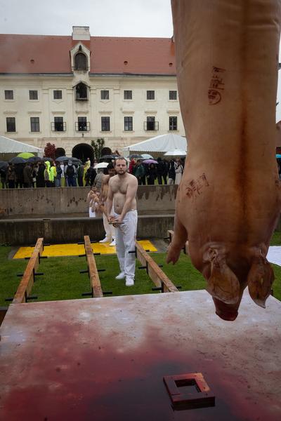 Hermann Nitsch 6 Tages Spiel (Tag 5, 8.6.2025) Foto: (c) Hermann Nitsch GmbH (Foto: eSeL)
