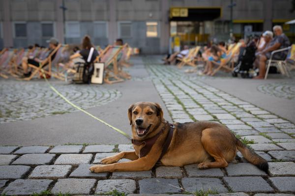 Kultursommer 2025: &quot;Das Wetter hier ist sehr schön, liebe Grüße!&quot; Gatzmaga, Hirth, Höllebauer, Marwan &amp; Peichl (Schrödingerplatz, 20.7.2025) Foto: eSeL.at - Lorenz Seidler