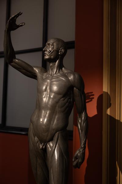 Der große Michelangelo ist tot! Avantgarde und Akademismus (Kunstsammlungen - Akademie der bildenden Künste, 2.10.2026 - 22.8.2027) Foto: eSeL.at - Lorenz Seidler