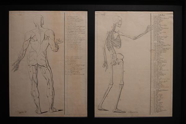 Der große Michelangelo ist tot! Avantgarde und Akademismus (Kunstsammlungen - Akademie der bildenden Künste, 2.10.2026 - 22.8.2027) Foto: eSeL.at - Lorenz Seidler