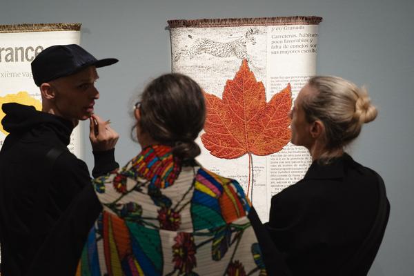 The Day You Were Thinking About the Sibyl While You Were Picking Autumn Leaves - An Insert by Ana Torfs (Gemäldegalerie - Akademie der Bildenden Künste Wien, 02.10.2025) Foto: eSeL.at - Robert Puteanu
