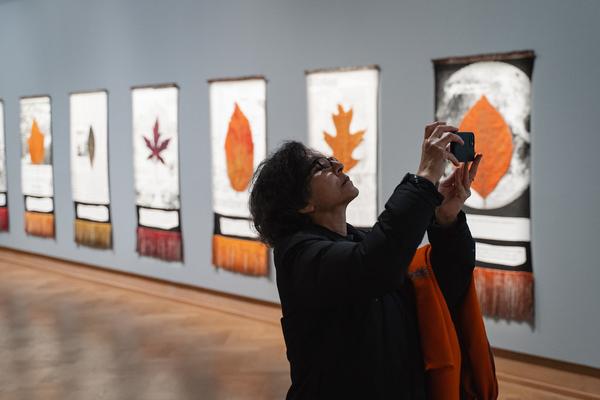 The Day You Were Thinking About the Sibyl While You Were Picking Autumn Leaves - An Insert by Ana Torfs (Gemäldegalerie - Akademie der Bildenden Künste Wien, 02.10.2025) Foto: eSeL.at - Robert Puteanu