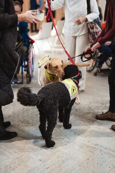 Disability History Aktions-Tag - Ausstellungs-Rundgang und Lesung (Haus der Geschichte Österreich, 06.12.2025) Foto: eSeL.at - Robert Puteanu