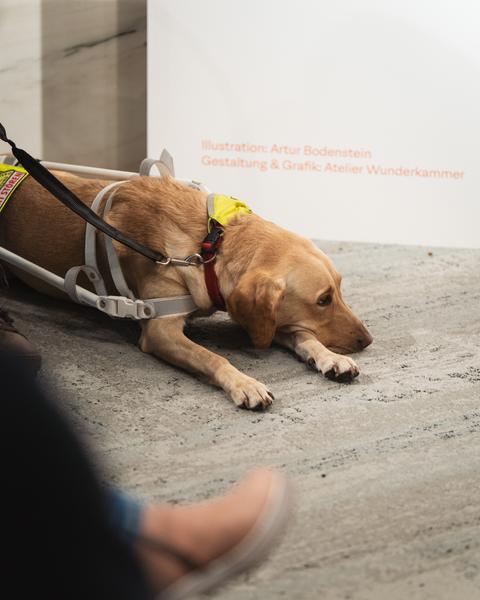 Disability History Aktions-Tag - Ausstellungs-Rundgang und Lesung (Haus der Geschichte Österreich, 06.12.2025) Foto: eSeL.at - Robert Puteanu