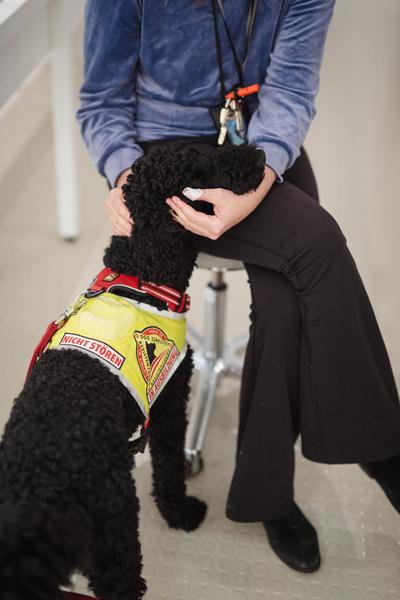 Disability History Aktions-Tag - Ausstellungs-Rundgang und Lesung (Haus der Geschichte Österreich, 06.12.2025) Foto: eSeL.at - Robert Puteanu