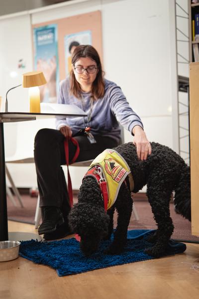 Disability History Aktions-Tag - Ausstellungs-Rundgang und Lesung (Haus der Geschichte Österreich, 06.12.2025) Foto: eSeL.at - Robert Puteanu