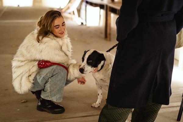 Eröffnung „Domesticated“ (The Hall. PART International Art Residency Austria, 8.11. - 13.12.2025) Foto: eSeL.at - Robert Puteanu