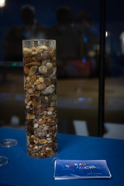 Donaurauschen &amp; Flussgeflüster (Zoom Kindermuseum, Eröffnungsempfang 10.3.2026) Foto: eSeL.at - Lorenz Seidler