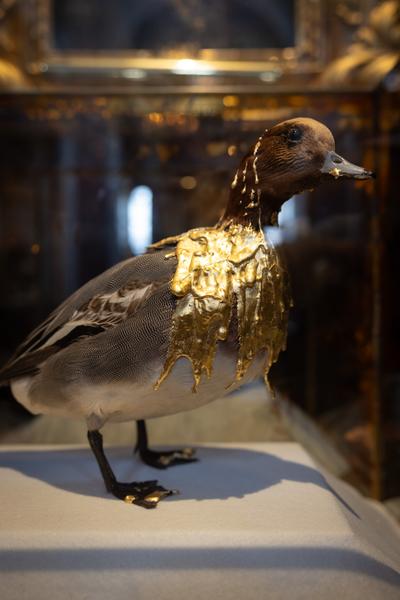 Elias Franziskus Grüner "Ein erlösendes Ende, ein endloser Anfang" (Jesuitenkirche, 3.12.2025 - 28.2.2026) Foto: eSeL.at - Lorenz Seidler
