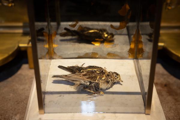 Elias Franziskus Grüner "Ein erlösendes Ende, ein endloser Anfang" (Jesuitenkirche, 3.12.2025 - 28.2.2026) Foto: eSeL.at - Lorenz Seidler