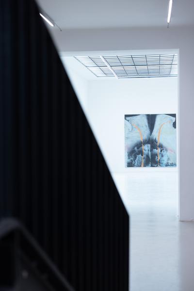 &quot;Embodied Rituals&quot; - Donna Huanca, Harminder Judge &amp; Hermann Nitsch (Galerie Kandlhofer, 21.5. - 20.6.2025) Foto: eSeL.at - Lorenz Seidler