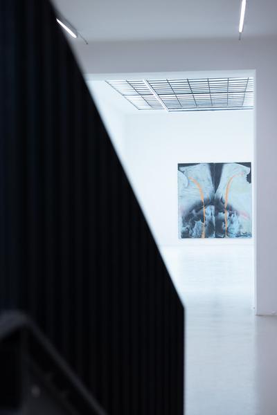 "Embodied Rituals" - Donna Huanca, Harminder Judge &amp; Hermann Nitsch (Galerie Kandlhofer, 21.5. - 20.6.2025) Foto: eSeL.at - Lorenz Seidler