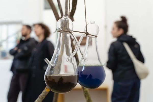 Kurator*innen Führung: Immediate Matters – Speak We Must We Must Speak - Klima Biennale 2026 (Wien, 15.04.2026) Foto: eSeL.at - Robert Puteanu