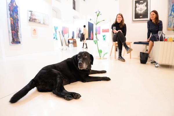FAIR FOR ART Vienna 2025 (Aula der Wissenschaften, 27.09. - 05.10.2025) Foto: eSeL.at - Joanna Pianka