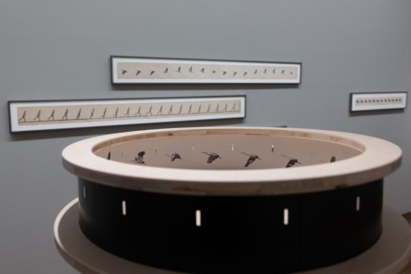 Faszination Papier. Rembrandt bis Kiefer (Albertina, 11.12.2025 - 22.3.2025) Foto: eSeL.at - Lorenz Seidler