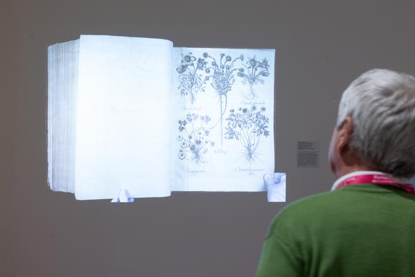 FLOWER POWER. Eine Kulturgeschichte der Pflanzen (Landesgalerie Niederösterreich, 24.05.2025-15.02.2026) Foto: eSeL.at - Lorenz Seidler