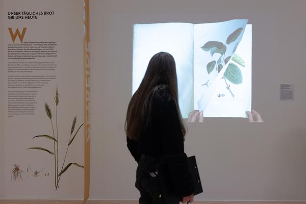FLOWER POWER. Eine Kulturgeschichte der Pflanzen (Landesgalerie Niederösterreich, 24.05.2025-15.02.2026) Foto: eSeL.at - Lorenz Seidler