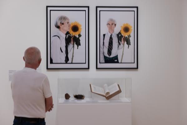 FLOWER POWER. Eine Kulturgeschichte der Pflanzen (Landesgalerie Niederösterreich, 24.05.2025-15.02.2026) Foto: eSeL.at - Lorenz Seidler