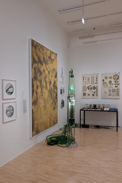 FLOWER POWER. Eine Kulturgeschichte der Pflanzen (Landesgalerie Niederösterreich, 24.05.2025-15.02.2026) Foto: eSeL.at - Lorenz Seidler