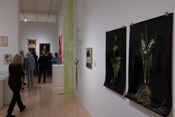 FLOWER POWER. Eine Kulturgeschichte der Pflanzen (Landesgalerie Niederösterreich, 24.05.2025-15.02.2026) Foto: eSeL.at - Lorenz Seidler