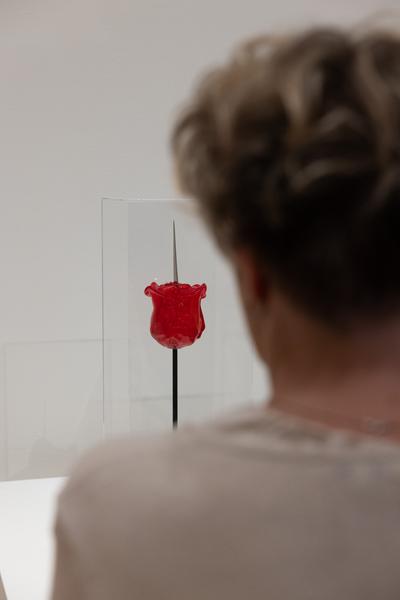 FLOWER POWER. Eine Kulturgeschichte der Pflanzen (Landesgalerie Niederösterreich, 24.05.2025-15.02.2026) Foto: eSeL.at - Lorenz Seidler