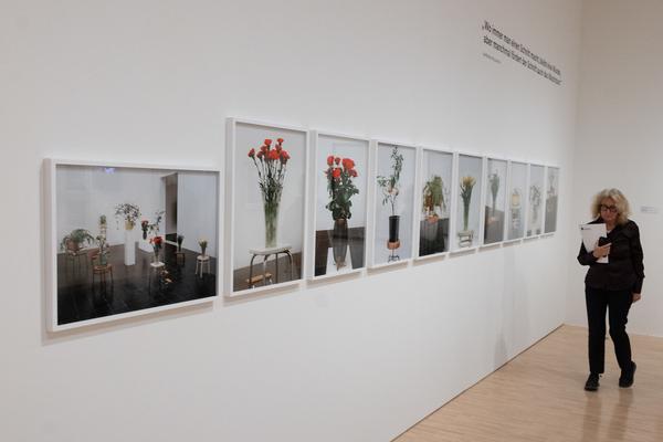 FLOWER POWER. Eine Kulturgeschichte der Pflanzen (Landesgalerie Niederösterreich, 24.05.2025-15.02.2026) Foto: eSeL.at - Lorenz Seidler
